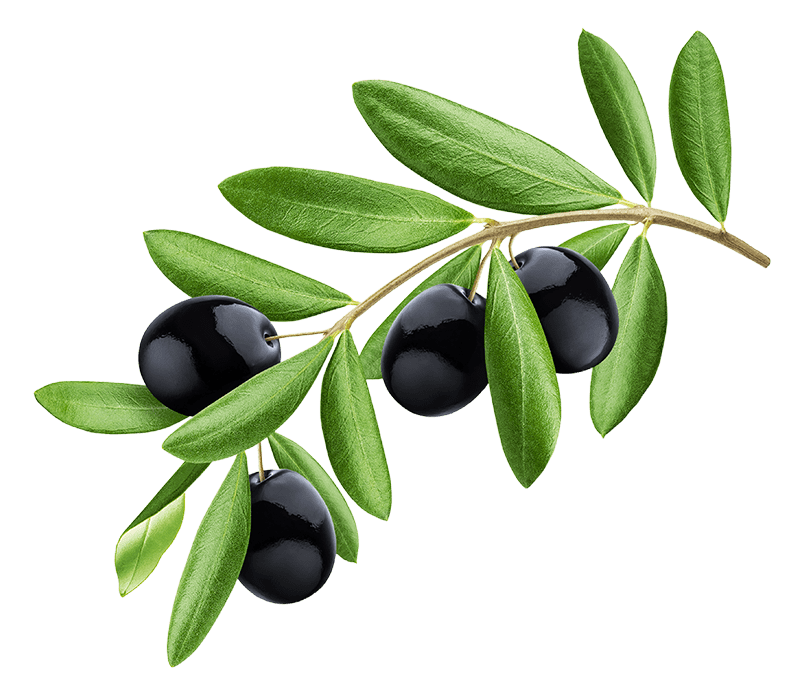 le migliori olive da tavola
