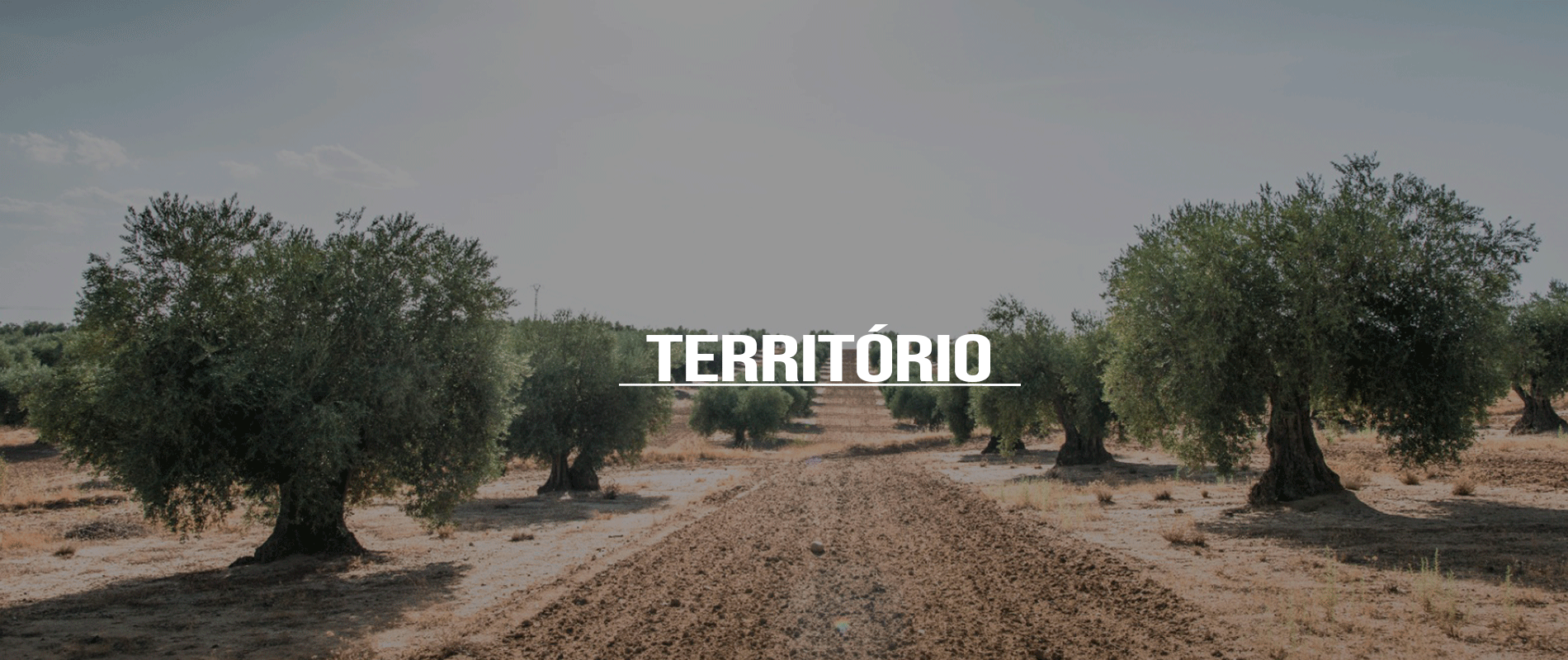 Territorio 3.1